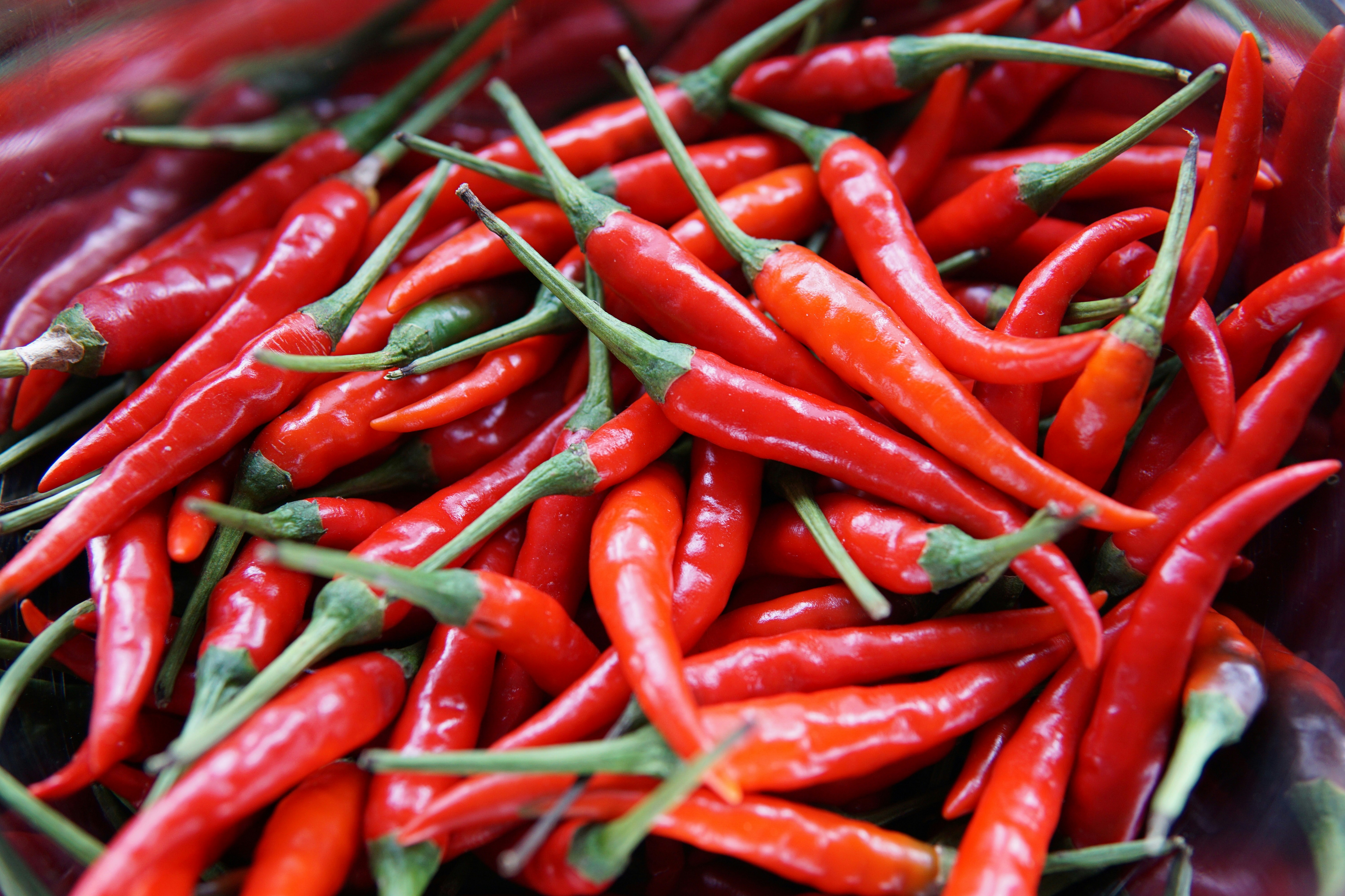 Shambo Pepper
