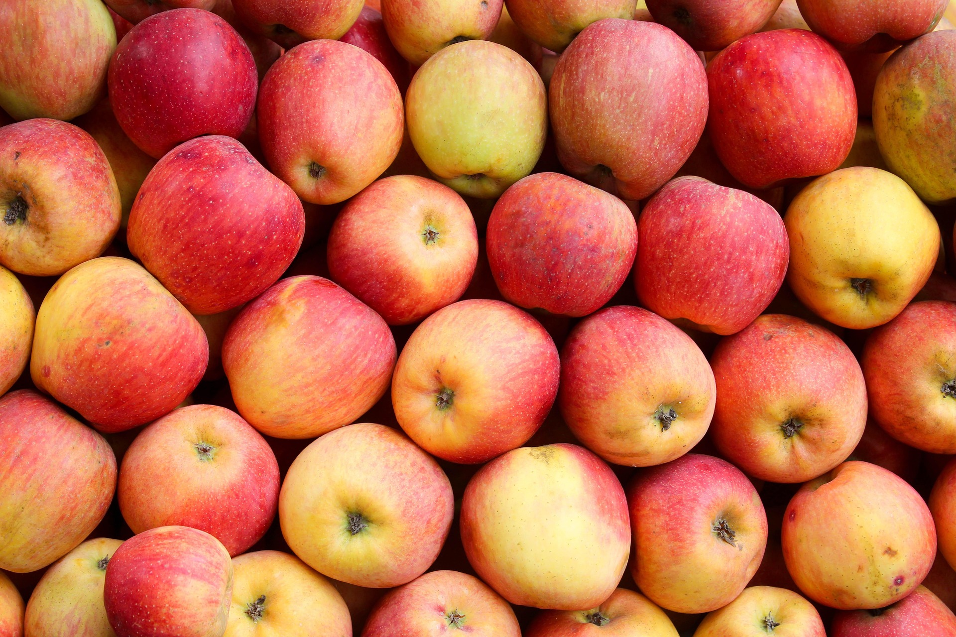 Apples